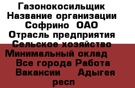 Газонокосильщик › Название организации ­ Софрино, ОАО › Отрасль предприятия ­ Сельское хозяйство › Минимальный оклад ­ 1 - Все города Работа » Вакансии   . Адыгея респ.